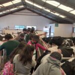 se requiere personal para convivencia y asistencia basica en finca