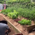 se requiere personal para cuidado de huertas y jardines en fincas