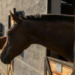 se requiere personal para cuidado y mantenimiento de rancho