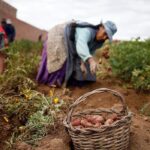 se requiere responsable de apoyo diario en finca familiar